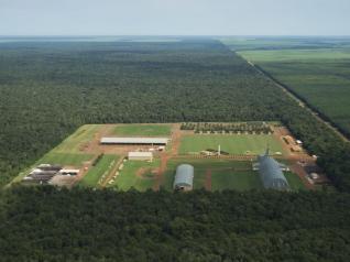Amaggi | Querência - MT | Fazenda Tanguro